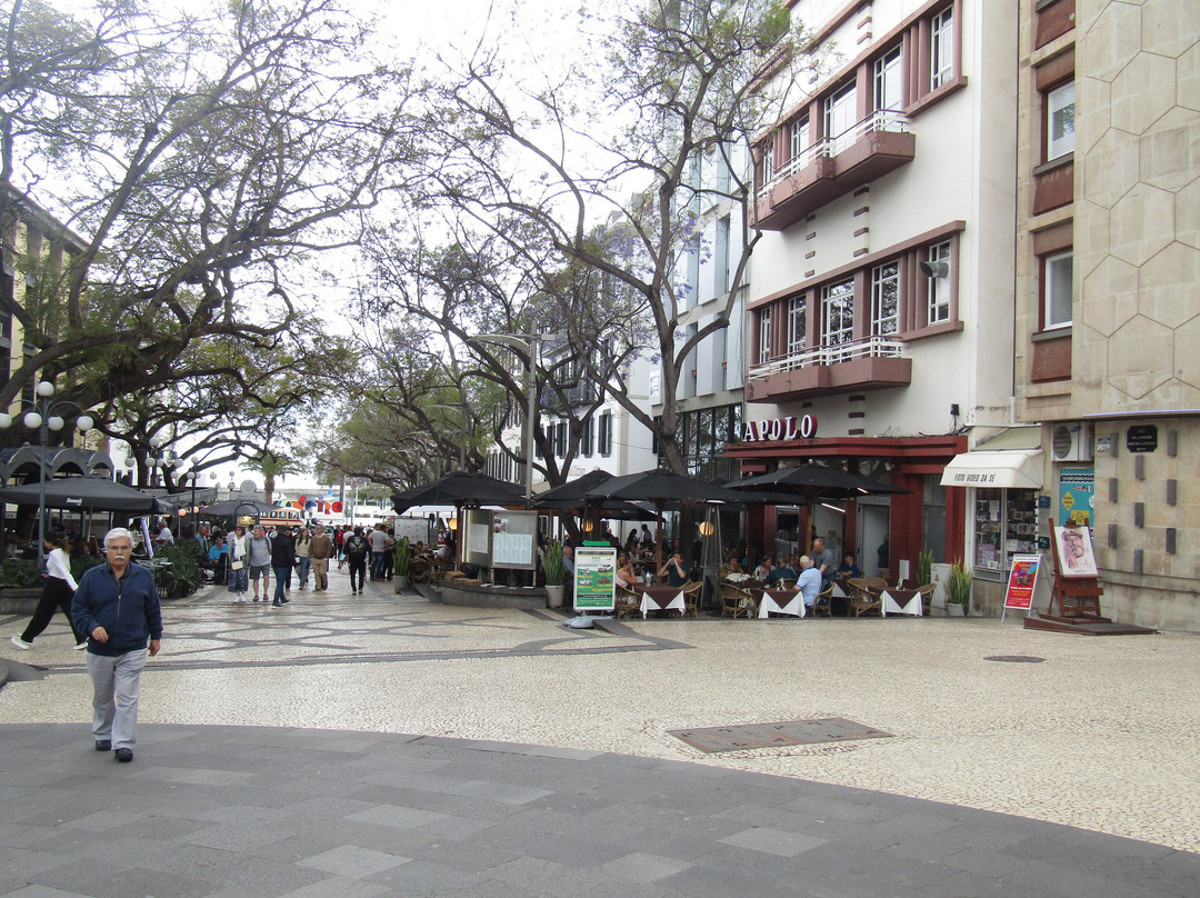 Historic Center of Funchal-沙尔必去景点