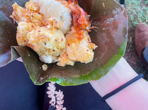 Sathsara Ceylon Taxi-卡图纳耶克必去景点