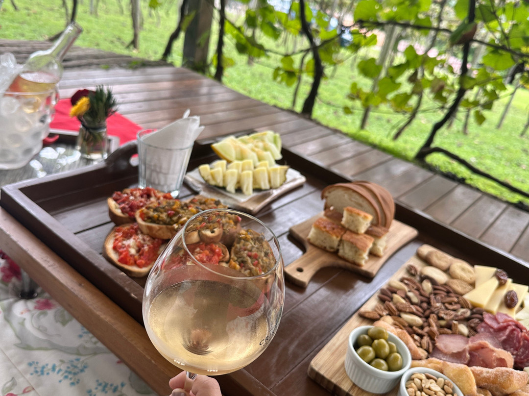 Cristofoli Vinhos de Familia景点图片