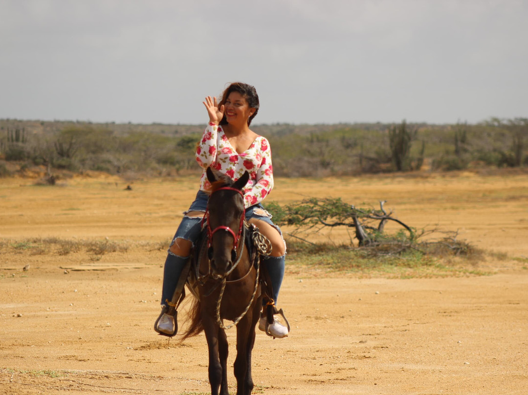Paraguana A Caballo景点图片