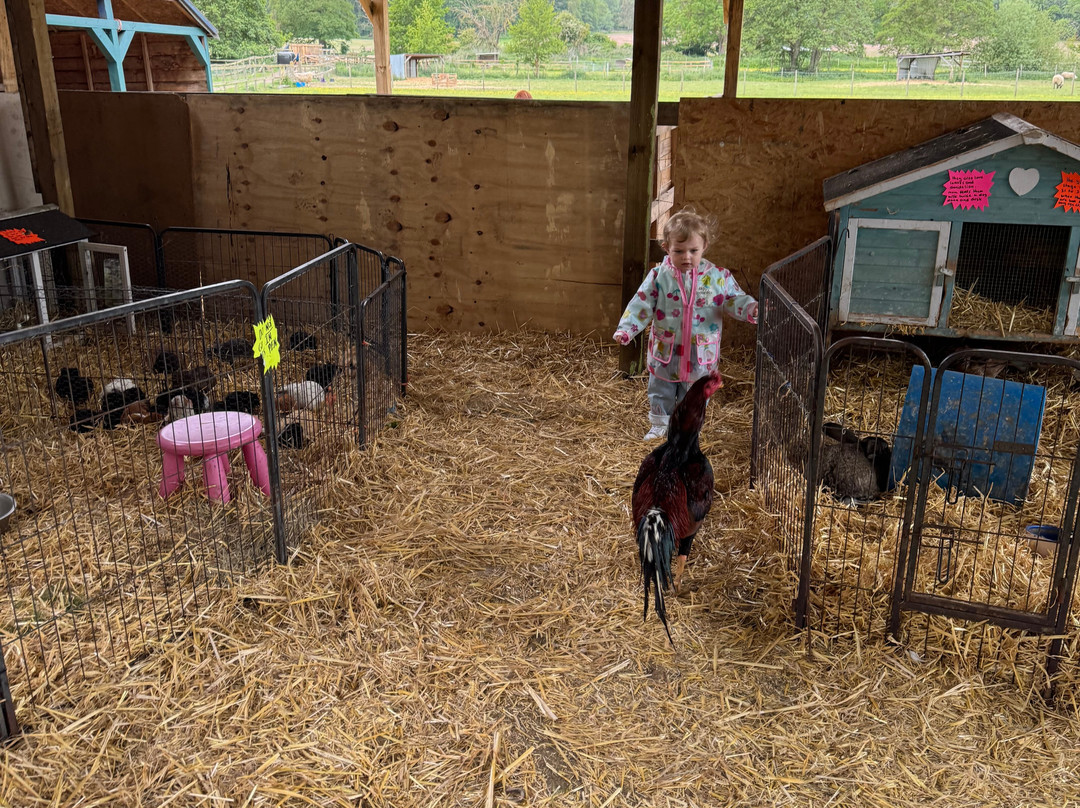 Tostock Animal Park-Tostock必去景点