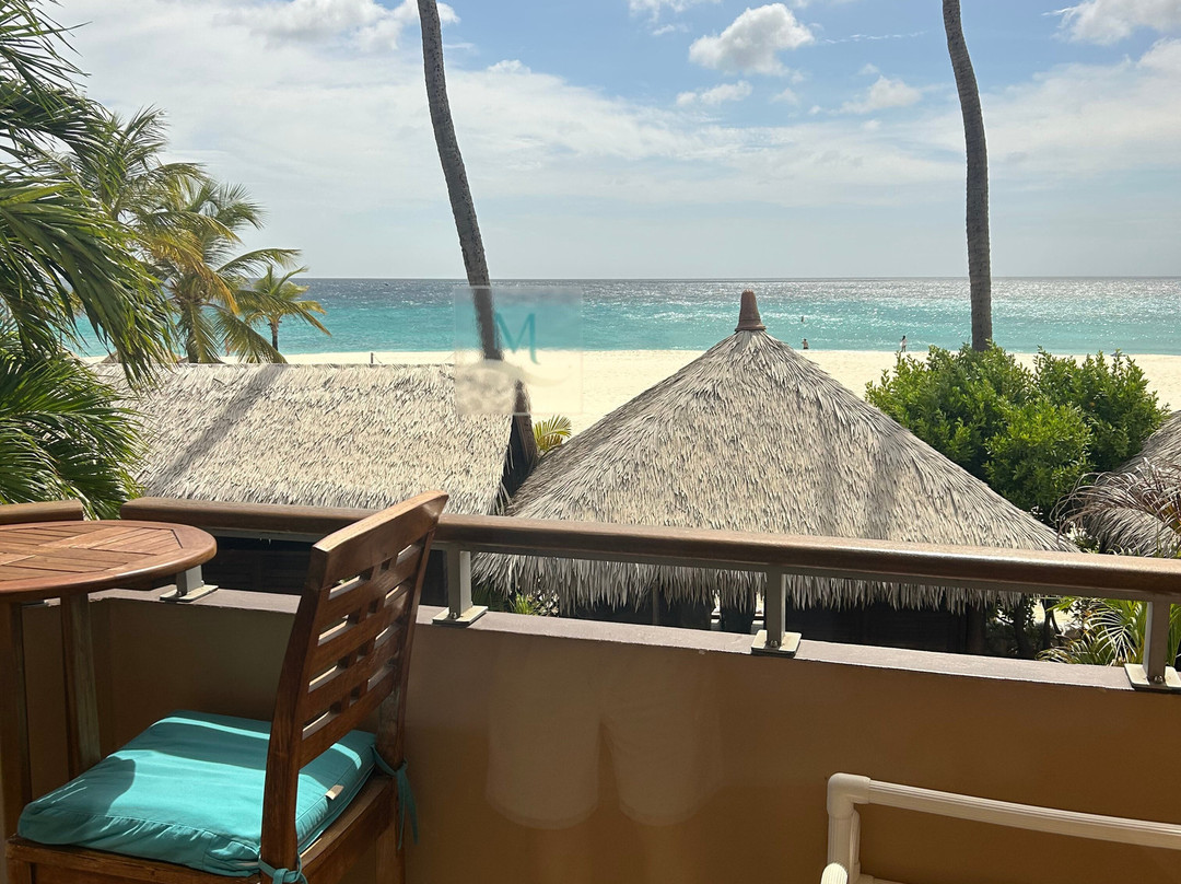 Manchebo Beach Resort & Spa主图