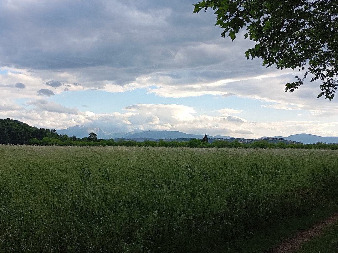 Riserva Naturale Abbadia di Fiastra景点图片
