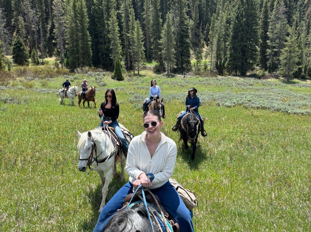Willow Creek Horseback Rides-杰克逊必去景点