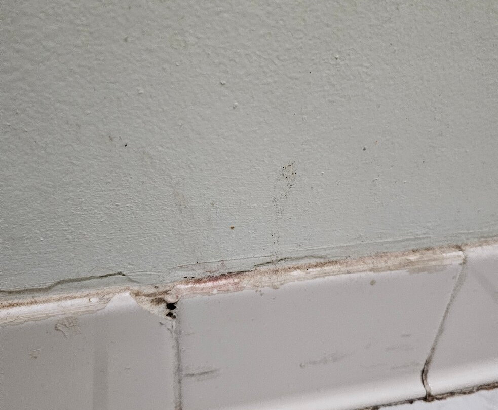 Days Inn by Wyndham West Point主图