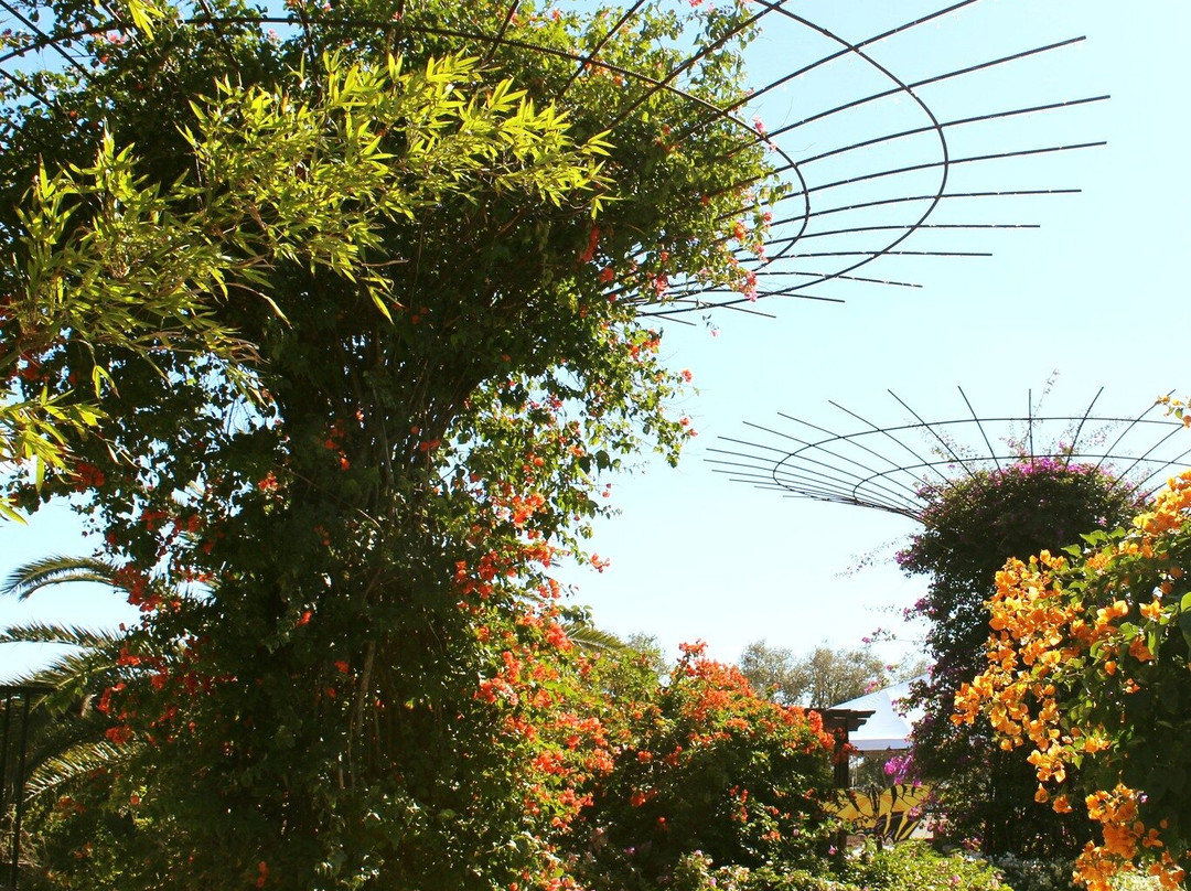 Peace River Botanical & Sculpture Gardens-蓬塔戈尔达必去景点