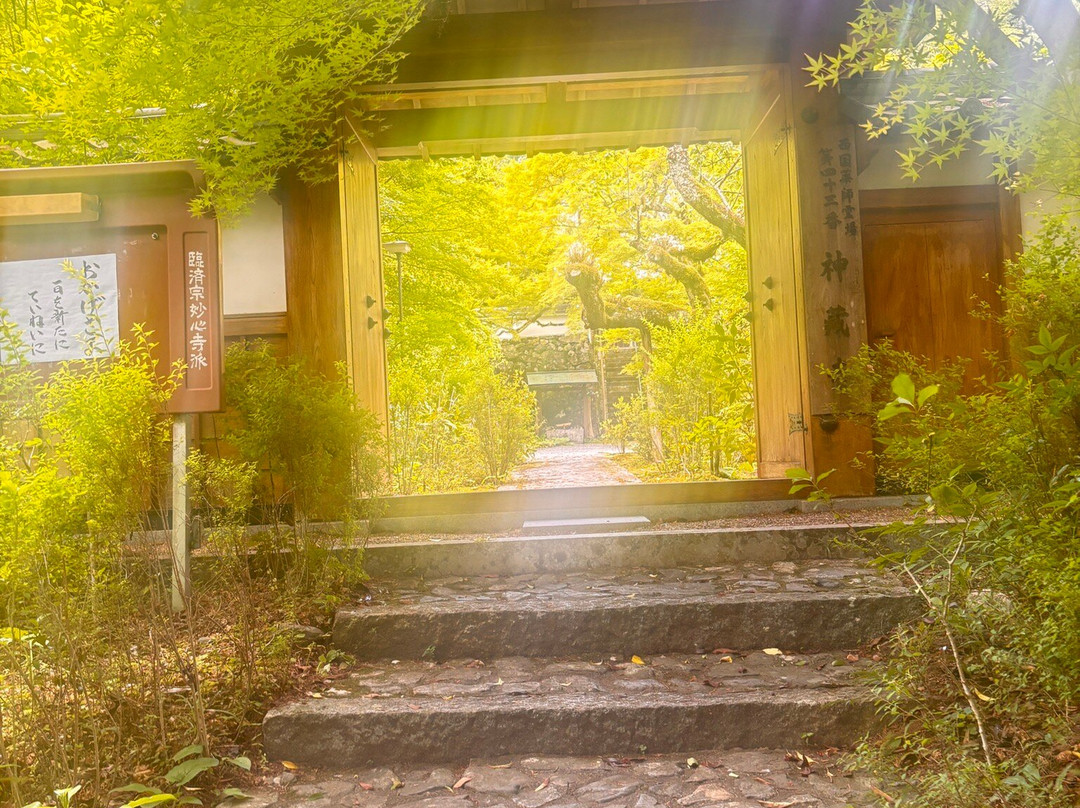 Jinzoji Temple-龟冈市必去景点