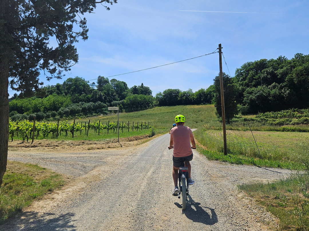 Biking Tuscany Tour景点图片