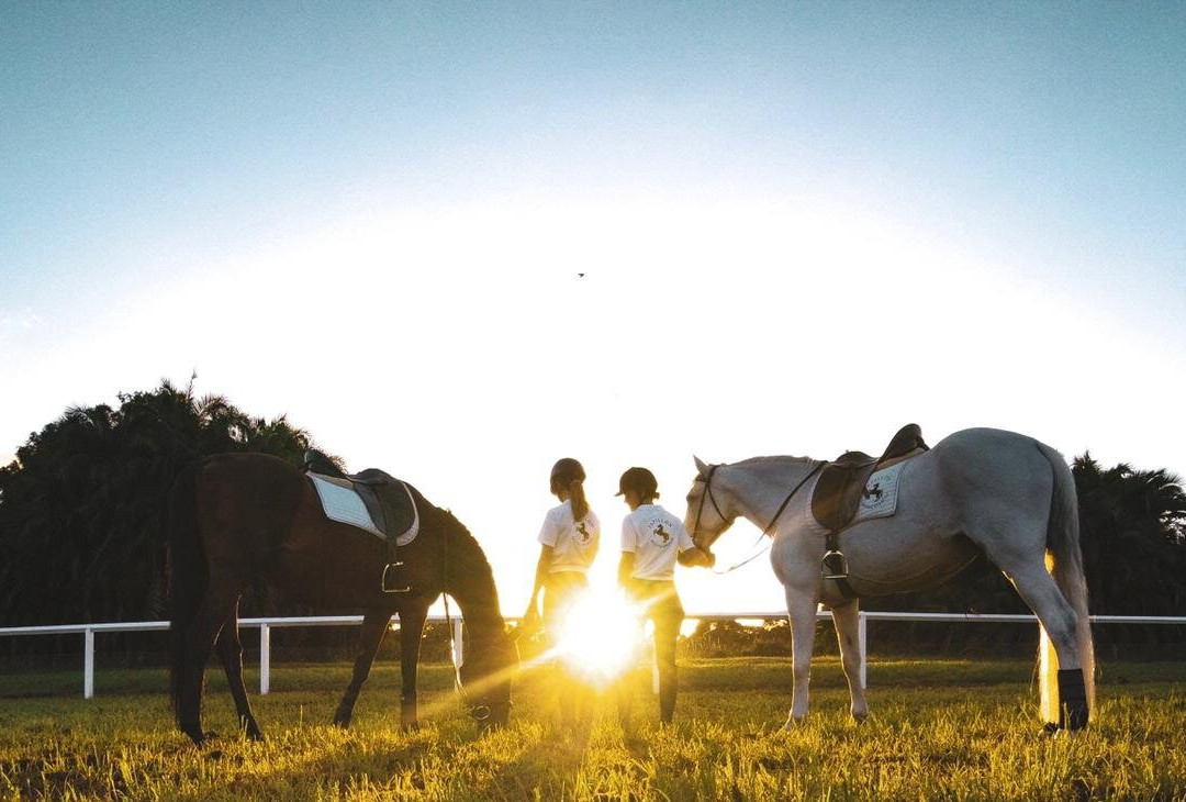 Papillon Riding Stables-悉尼必去景点