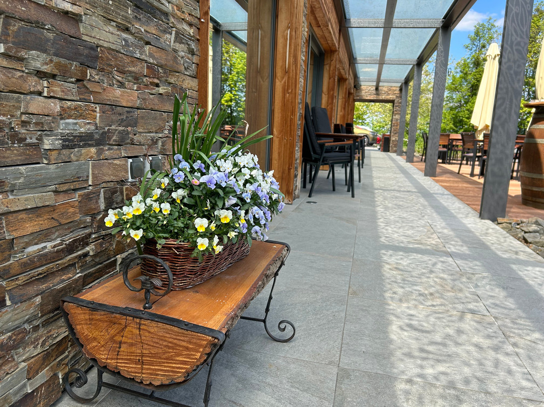 Kunčice pod Ondřejníkem酒店住宿-Penzion Jurasek