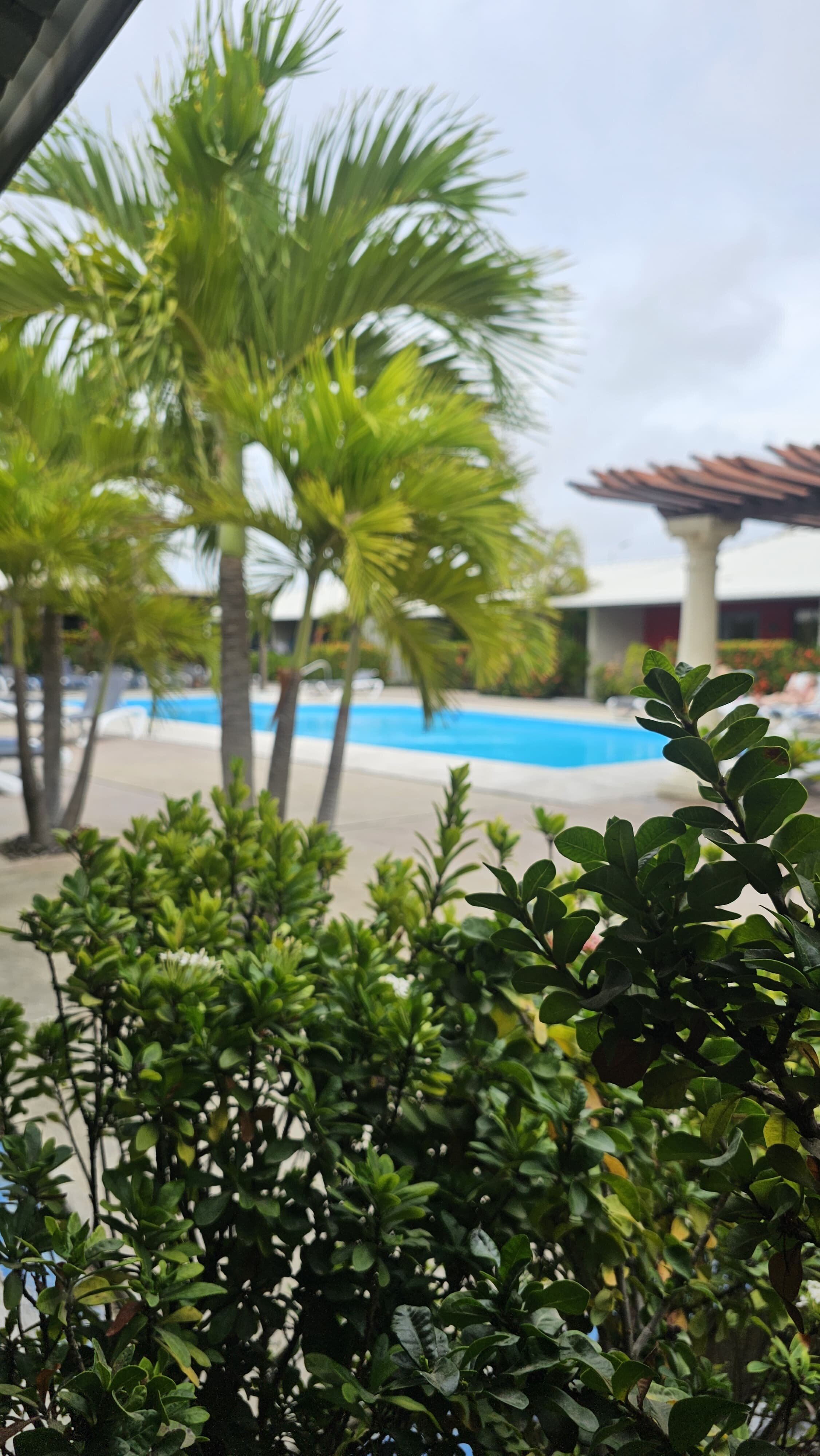 Aruba Blue Village-浴室