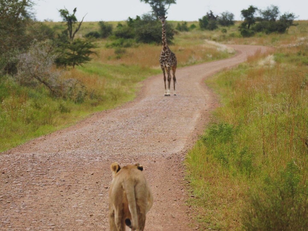 Singita Faru Faru主图