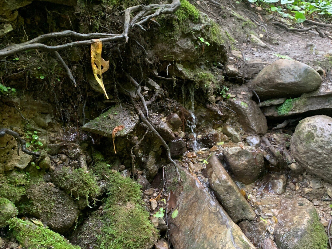 Large Kaverzinsky Waterfall景点图片