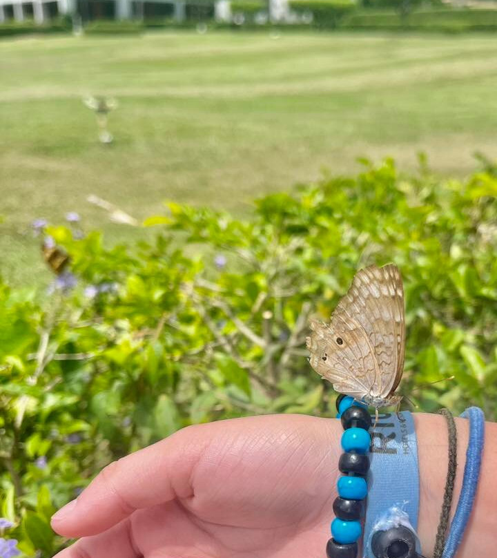 哥斯达黎加悦宜湾奢享酒店主图