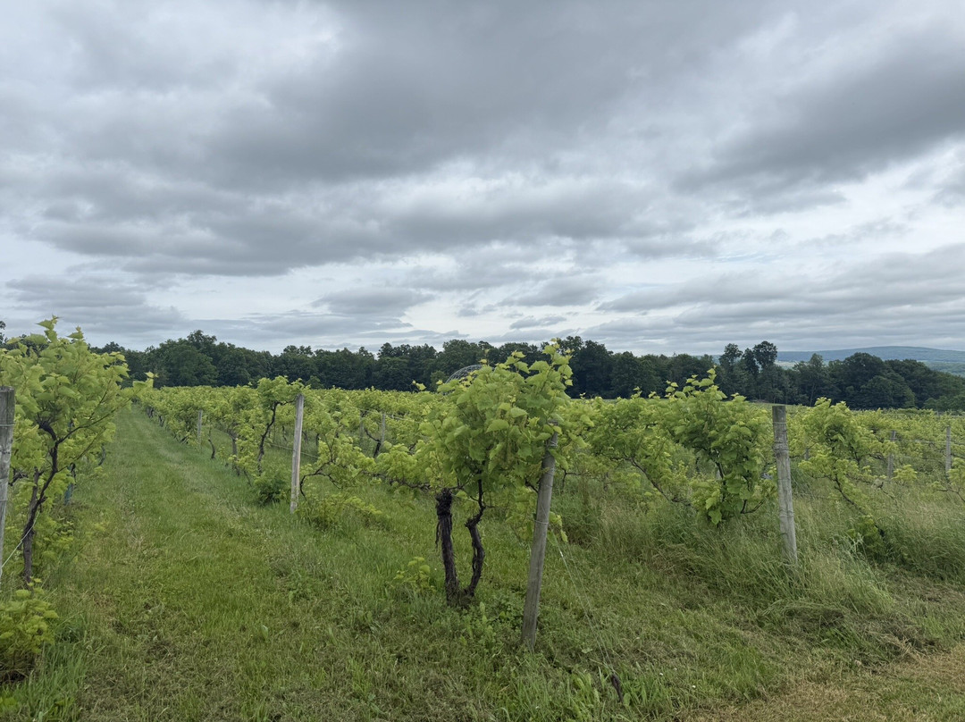 Castel Grisch-沃特金斯格伦必去景点