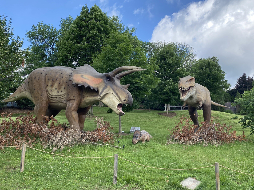 Louisville Zoo-路易斯维尔必去景点