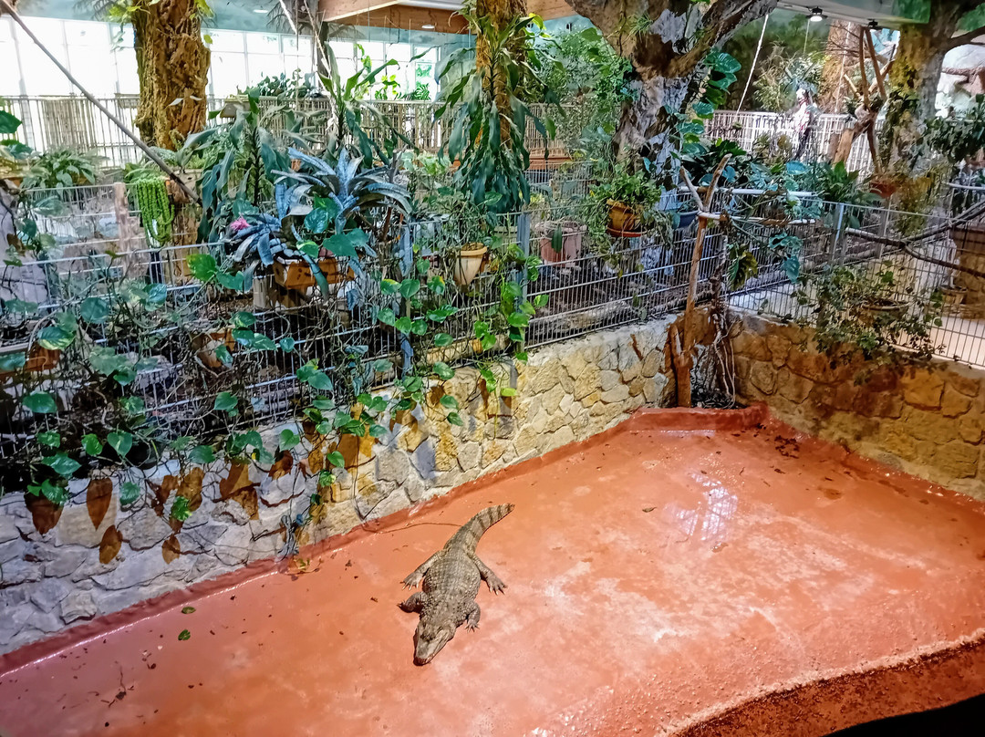 Erlebnispark Meeresaquarium-Zella-Mehlis必去景点