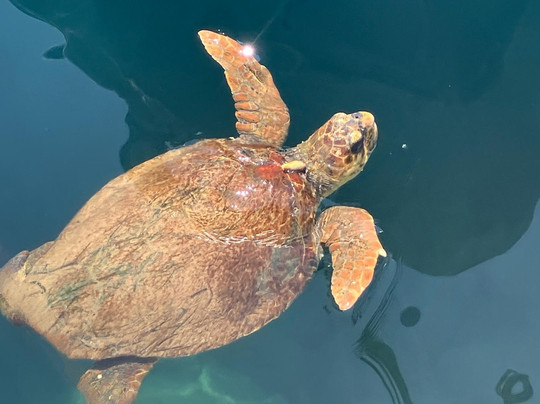 Dragoman Outdoor Activities Centre-卡斯必去景点