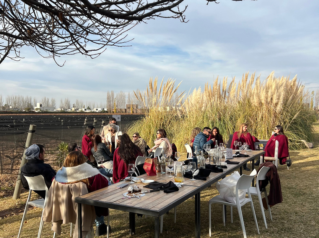 Bodega Hacienda del Plata景点图片