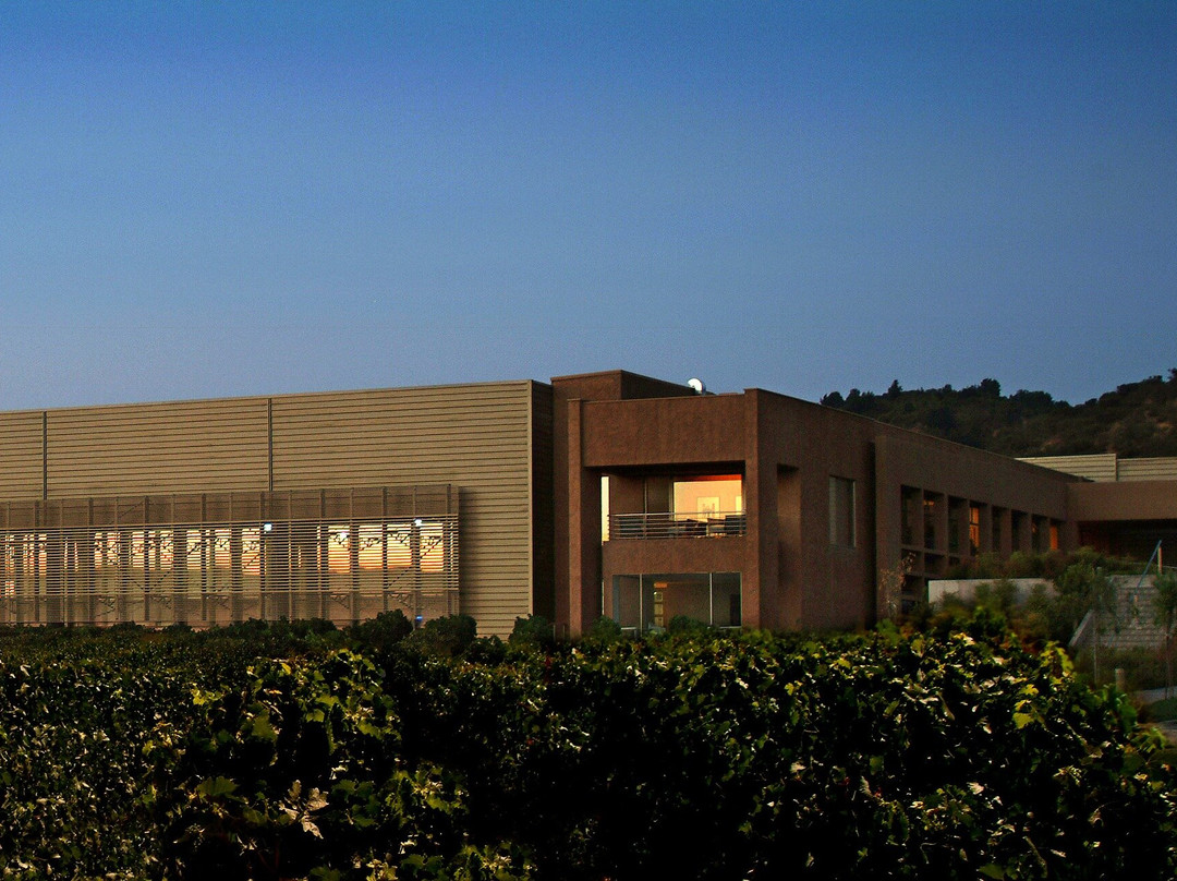 Viña Ventisquero - Viñedo Trinidad