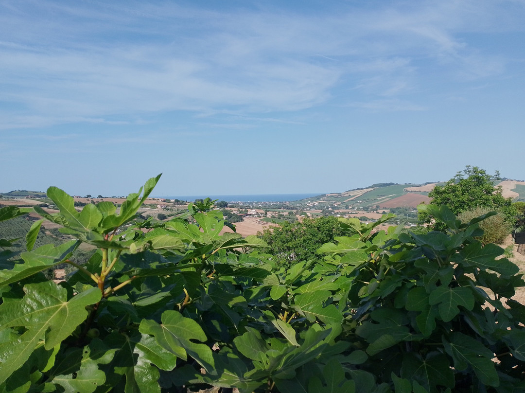 La Sperella Bed and Breakfast