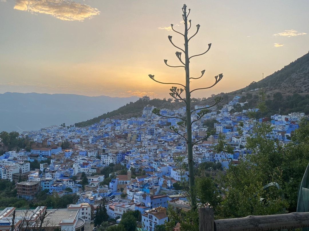 Wild Desert of Morocco-卡萨布兰卡必去景点