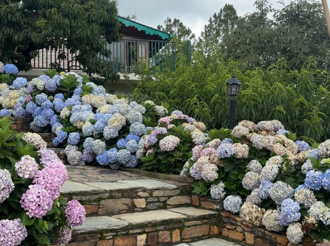 Seclude Ramgarh Willows主图