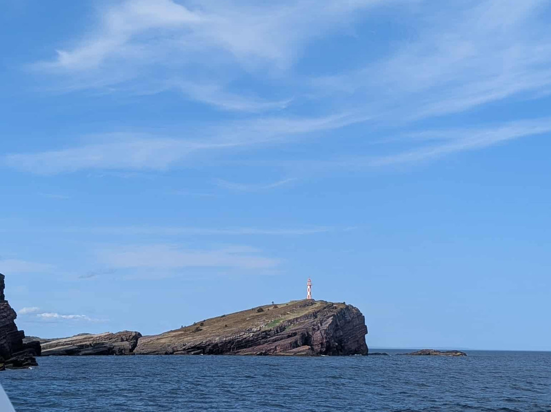 Gypsy Sea Adventures-Clarenville必去景点