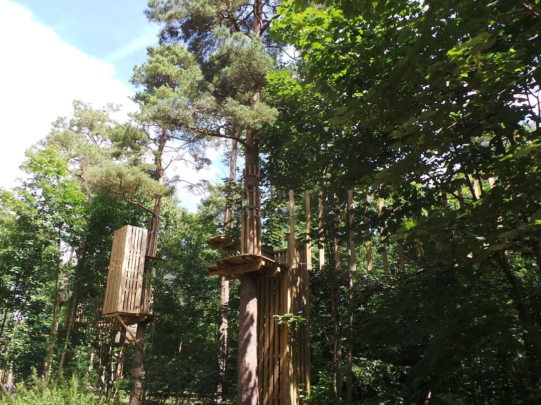 Wendover Woods-Wendover必去景点