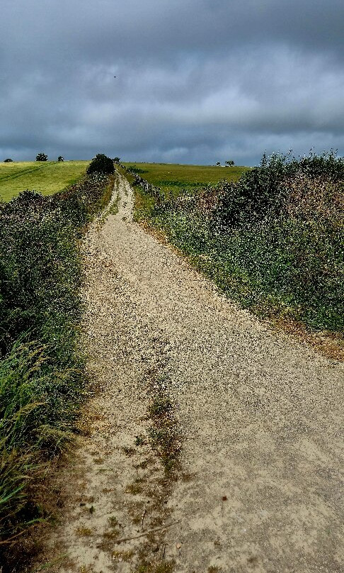 South Downs Way National Trail-Steyning必去景点