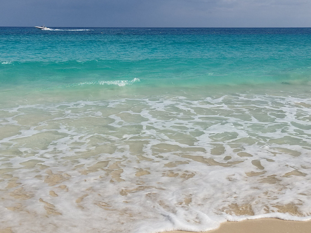 杰斯阿勒马扎湾酒店主图