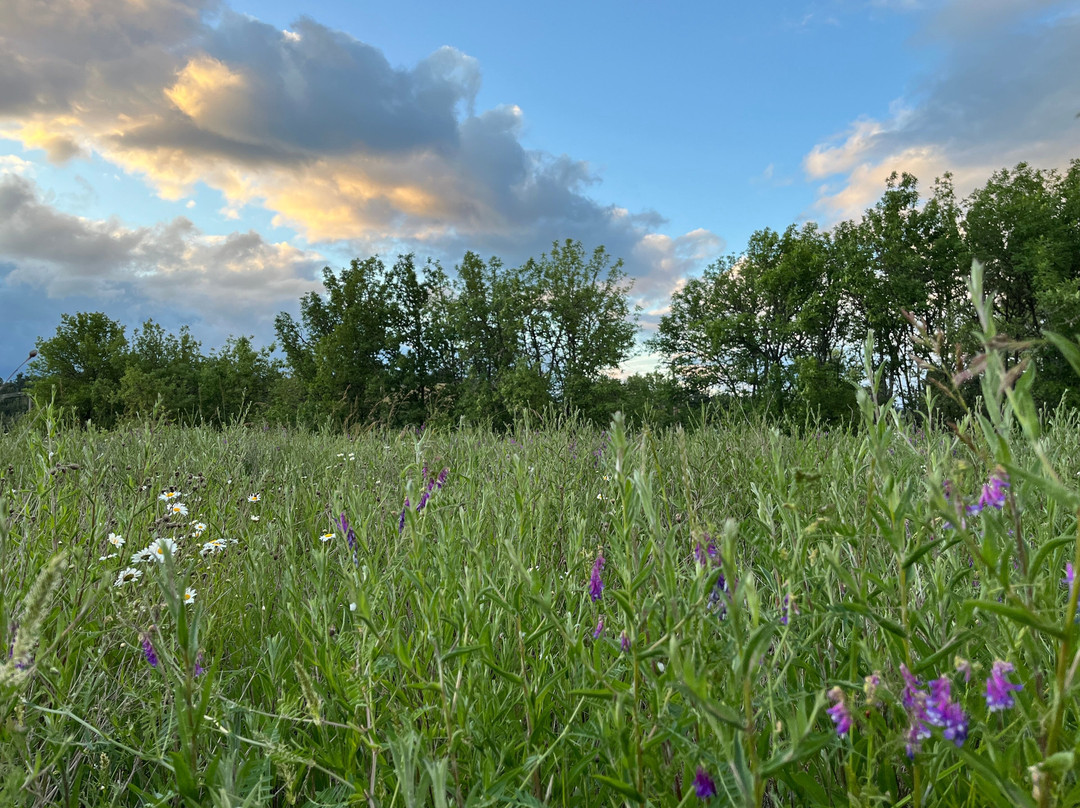 Friends of Ford's Pond-Sutherlin必去景点