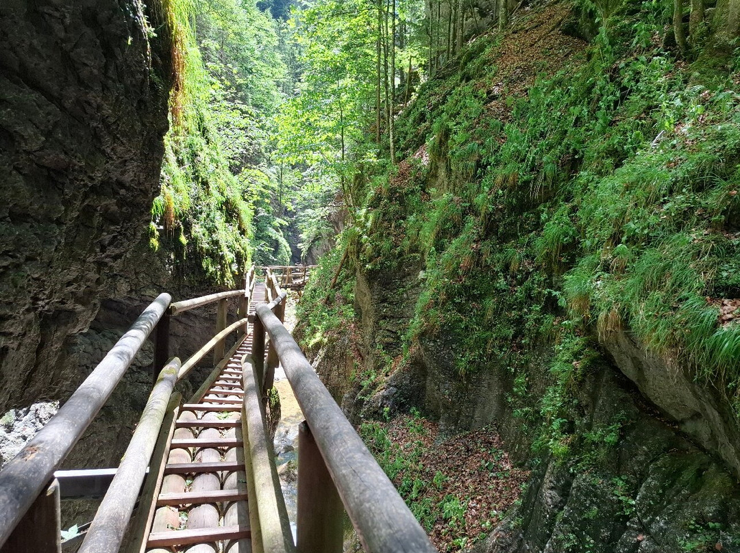 Bärenschützklamm-Mixnitz必去景点