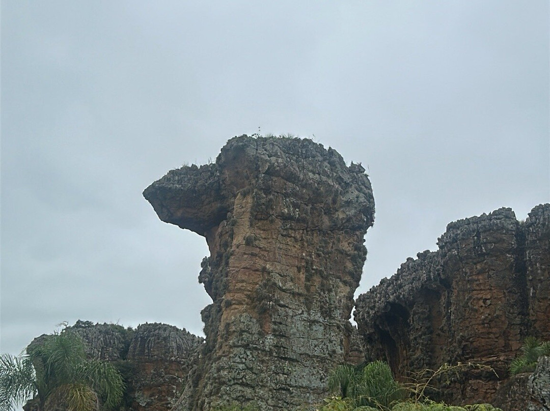 Parque Estadual de Vila Velha-Ponta Grossa必去景点
