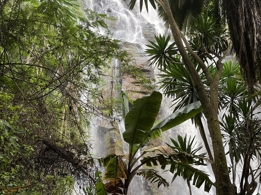 Kwamongo Expeditions-坦噶必去景点