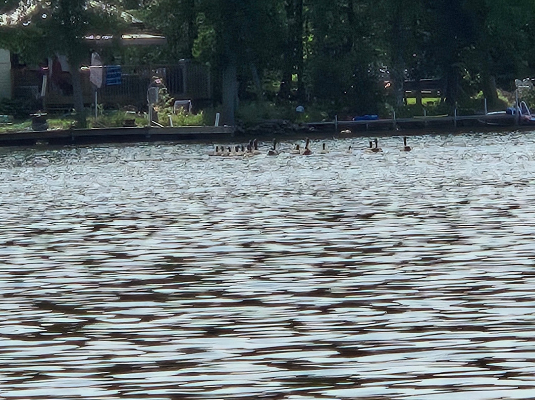 Ski-Mazing Water Sports-Haliburton必去景点