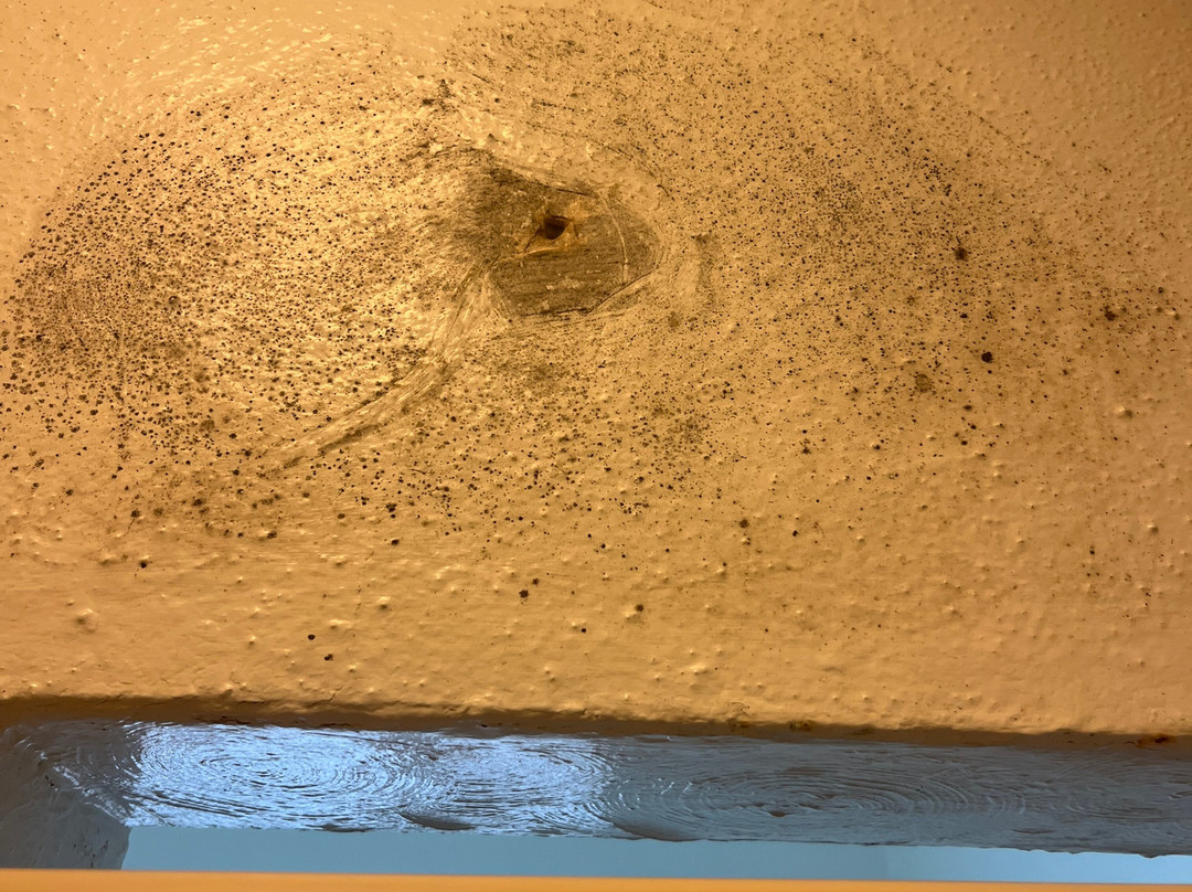 The Desoto Inn主图