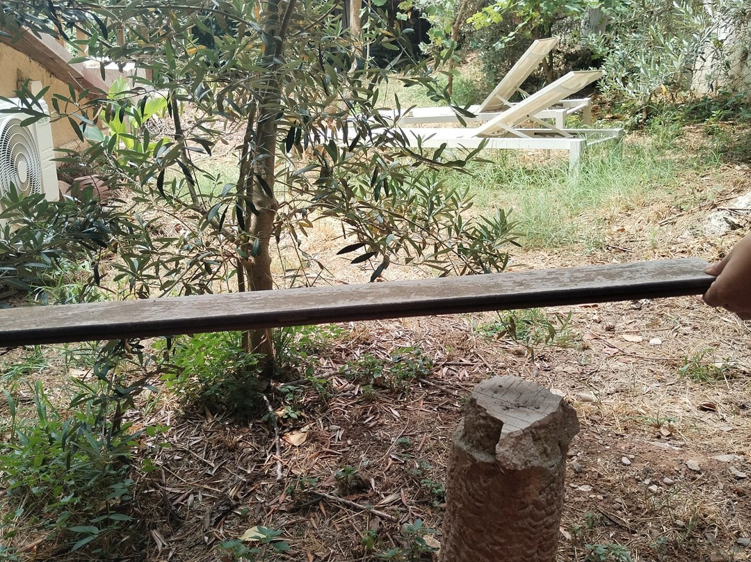 Hotel Boutique Torre Barcelona主图