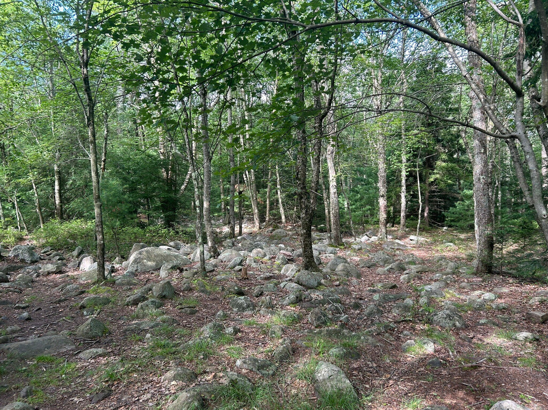 Boulder Field-White Haven必去景点