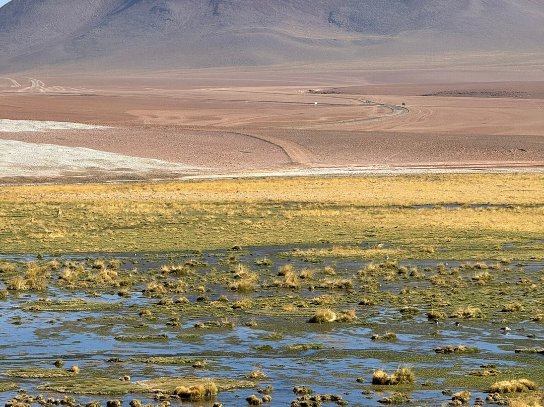 Lourdes Expeditions-圣佩德罗-德阿塔卡马必去景点