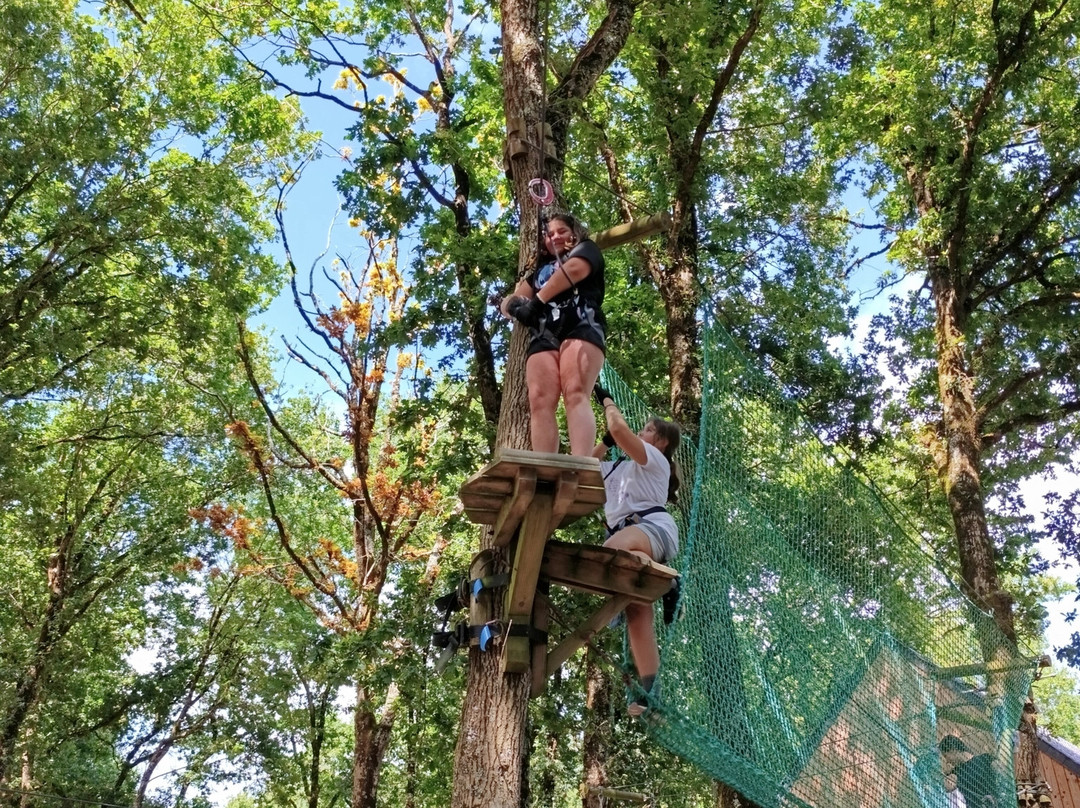 Piriac Adventure Tree climbing-Piriac-sur-Mer必去景点