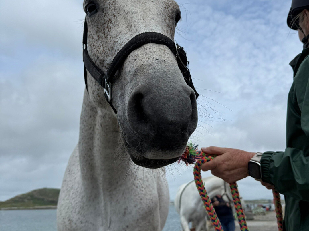 Connemara Equestrian Escapes-Moycullen必去景点
