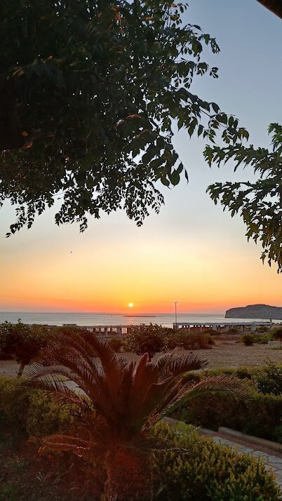 Magnolia Apartments & Studios主图