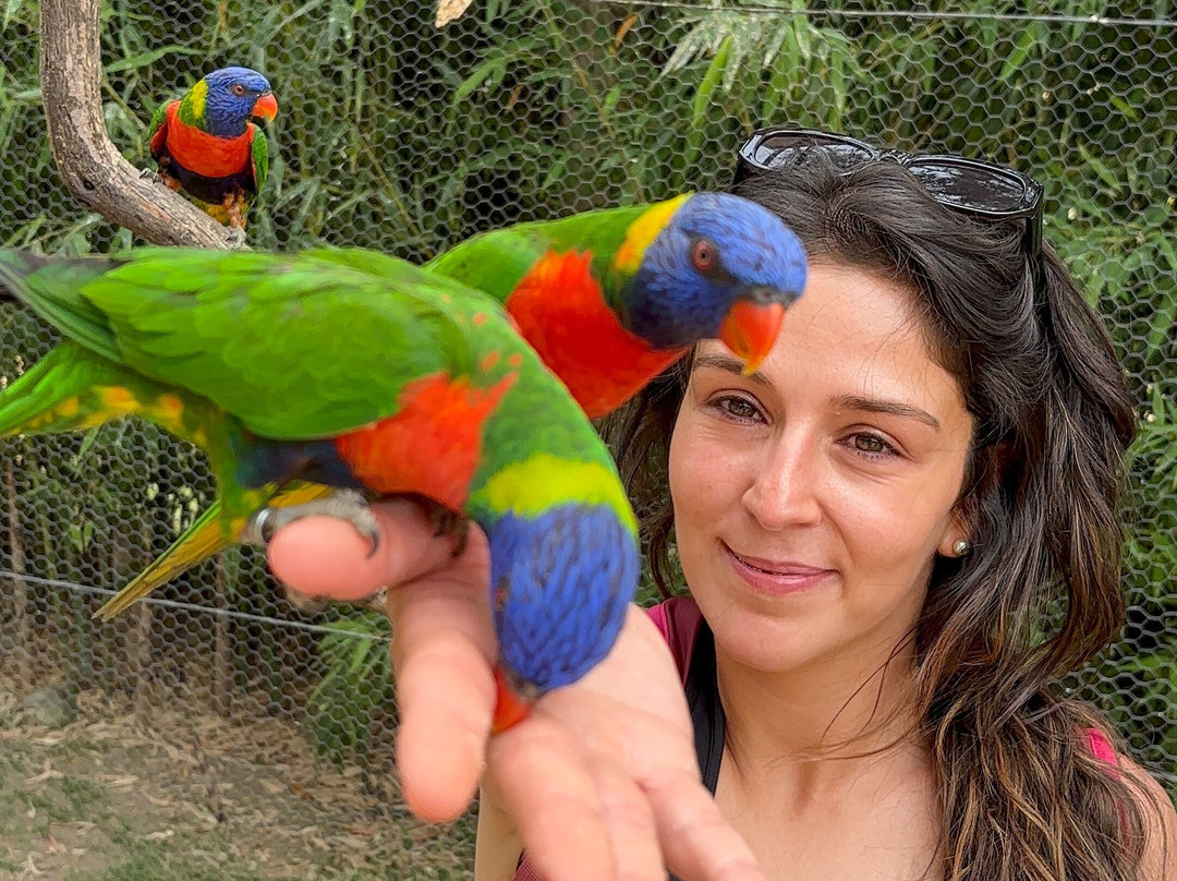 Zoo Safari Fauna Aventura-Hinojosa de San Vicente必去景点