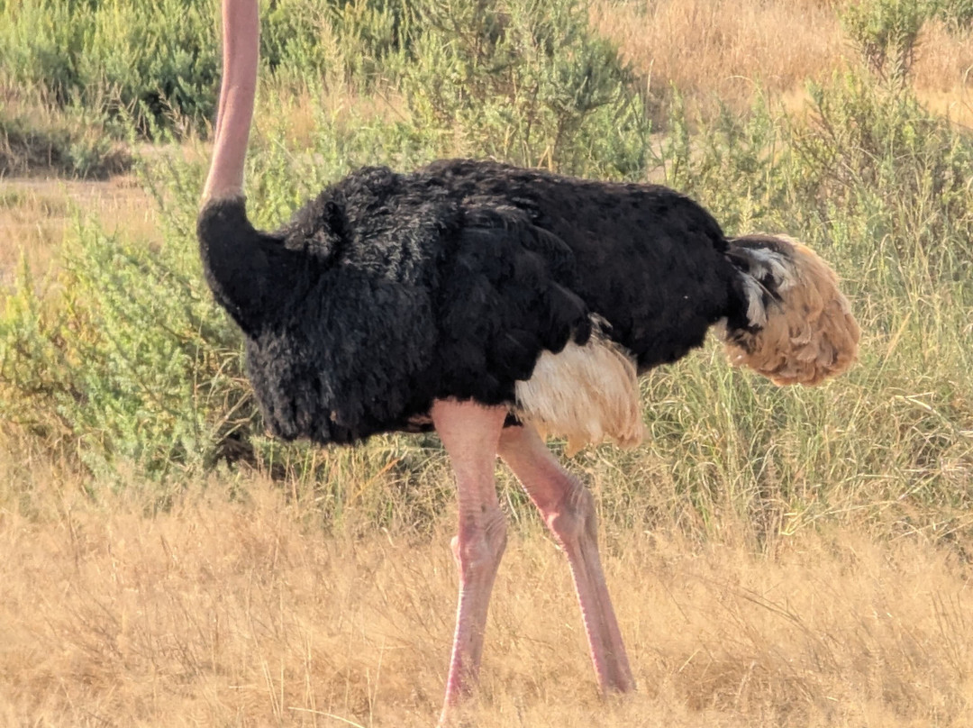 Africa Vision Safaris Tours and Travel-内罗毕必去景点