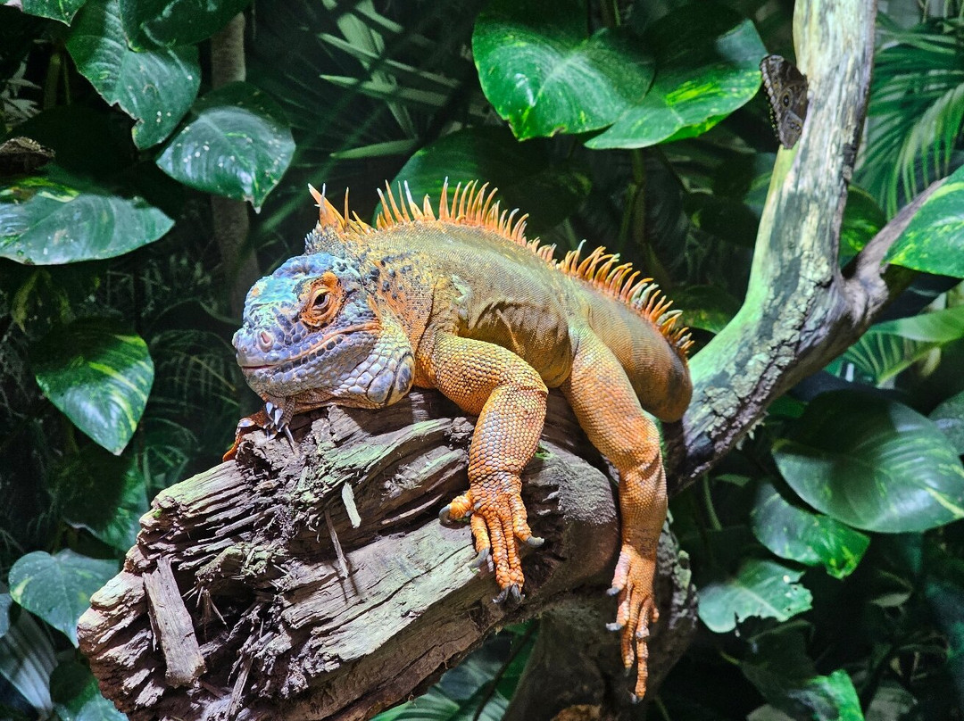 Exotic Park-Lescar必去景点