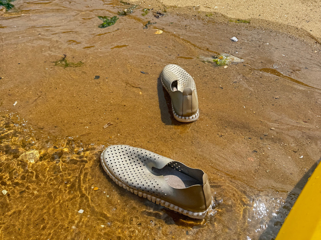 Ballston Beach-Truro必去景点
