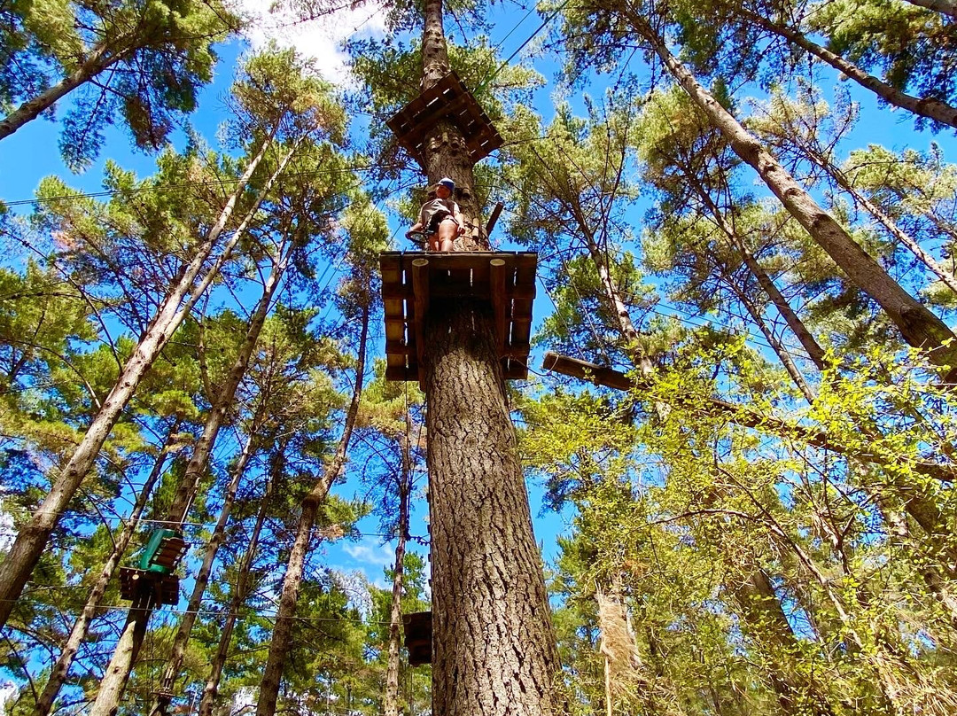 Tree Adventures-伍德山必去景点