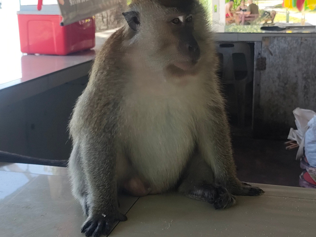 猴子岛-巴巷海滩必去景点
