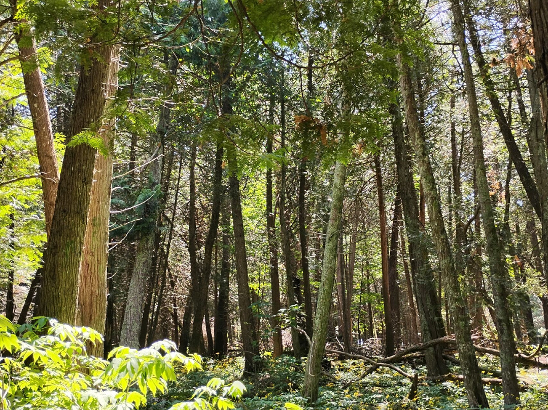 麦基诺岛国家公园-麦其诺岛必去景点